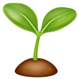 Seedling for WhatsApp 2.26.8.72