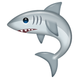 Shark for WhatsApp 2.26.8.72