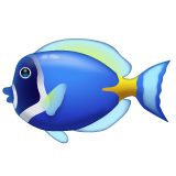 Tropical Fish for WhatsApp 2.26.8.72